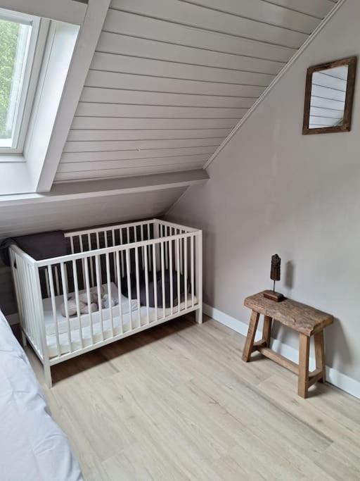 Family Wellness Lodge 4 Personen Zuid-Holland! Ooltgensplaat ภายนอก รูปภาพ